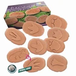 FOOTPRINT INVESTIGATE DINOSAUR