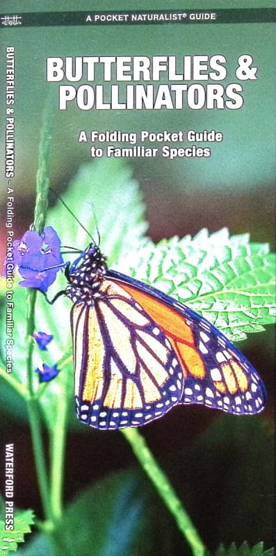 Butterflies & Pollinators (Pocket Naturalist