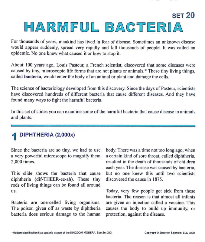 Harmful Bacteria Microslide Lesson Set