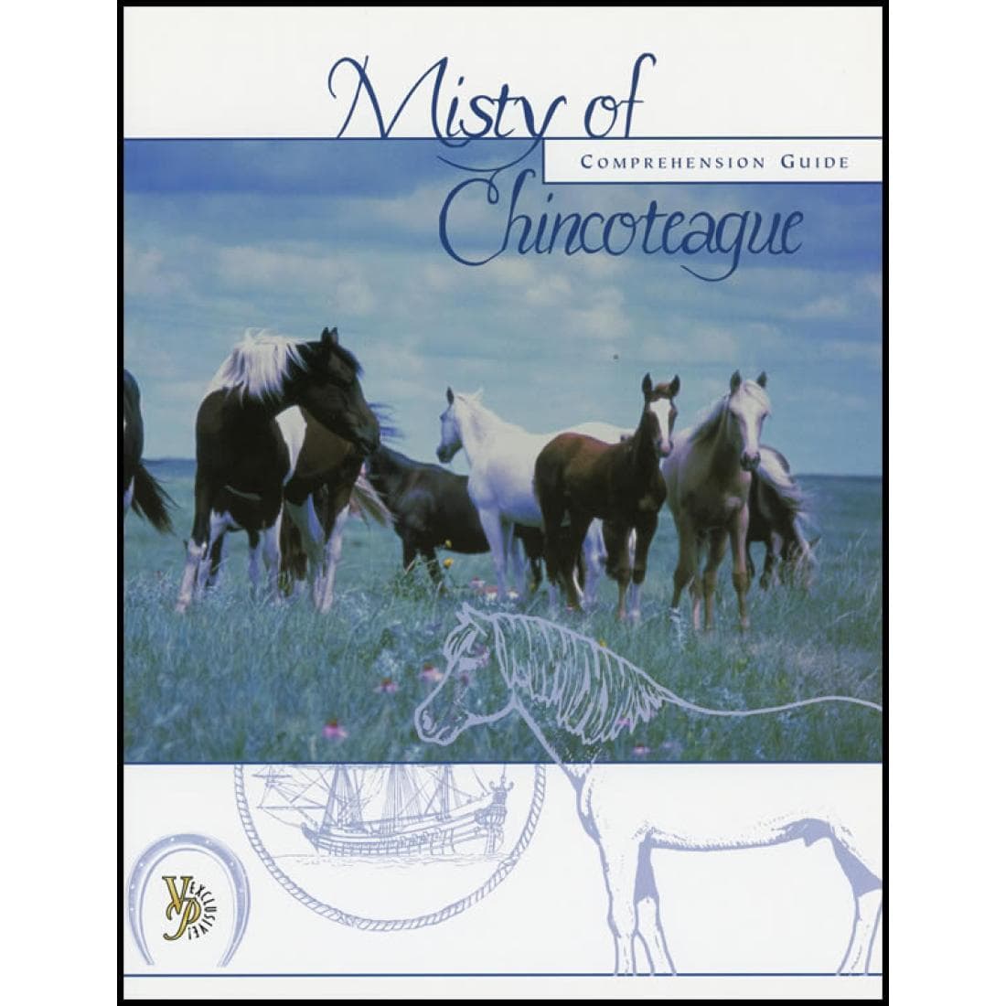 Misty of Chincoteague Comprehension Guide