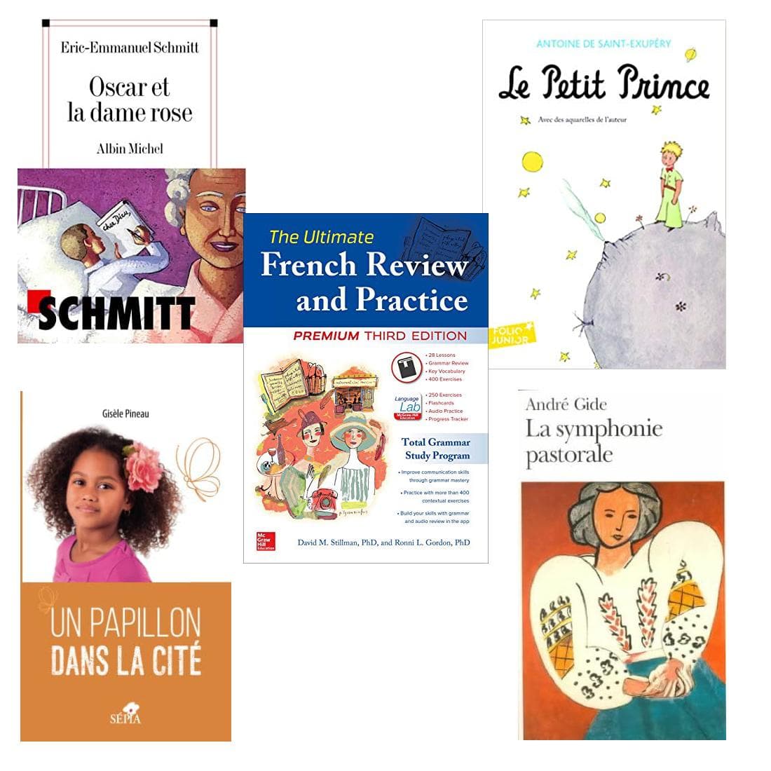 French IV - Course Kit