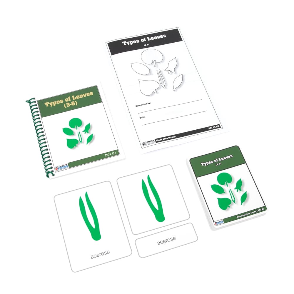 Types of Leaves Cards (3-6) – Laminate & Cut