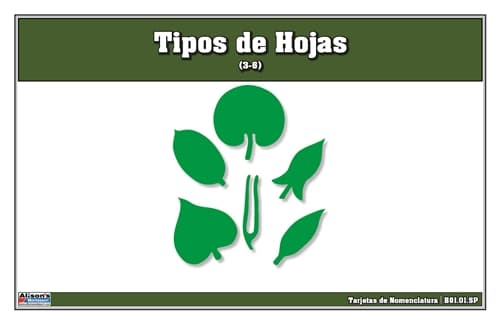 Tipos de Hojas – Tarjetas (Laminate & Cut)