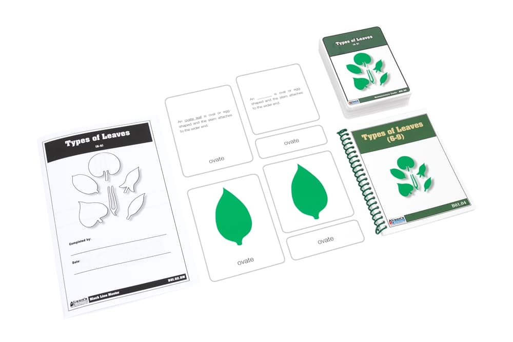 Types of Leaves Cards (6-9) – Laminate & Cut