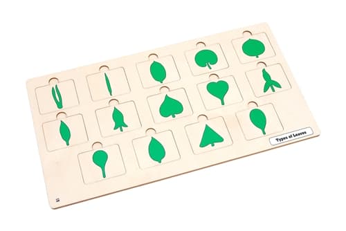 Types of Leaves Puzzle – Printed (Ages 3–6)