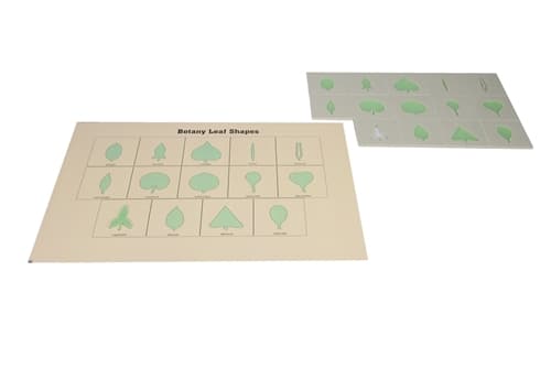 Botany Frames & Insets with Control Chart