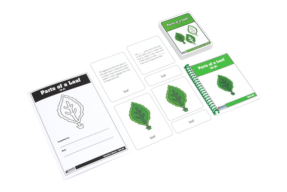 Parts of a Leaf Cards 6–9 – Laminate & Cut