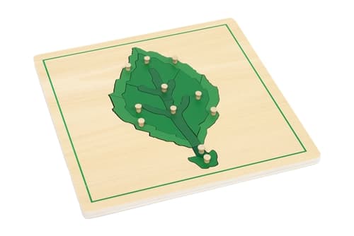 Parts of a Leaf Puzzle and Cards 3-6 (Printed)
