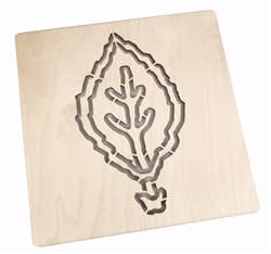 Parts of a Leaf Puzzle Template