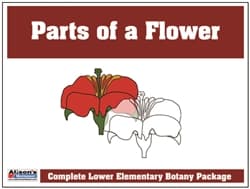 Parts of a Flower Control Booklet