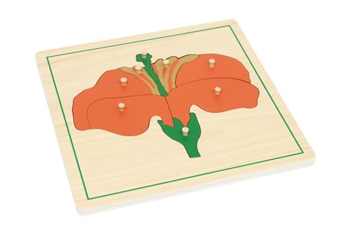 Parts of a Flower Puzzle and Cards 3-6 (Printed)