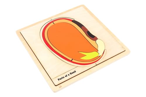 Parts of a Seed Puzzle and Cards 6-9