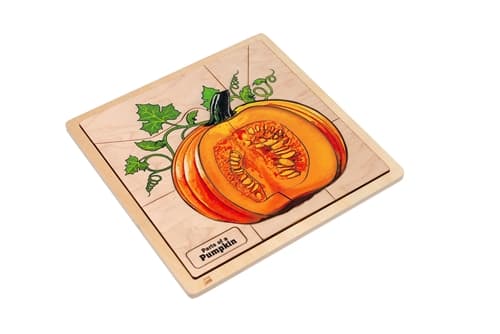 Parts of a Pumpkin puzzle and Cards (6-9)