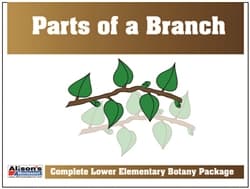 Parts of a Branch Control Booklet