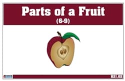 Parts of a Fruit Nomenclature Cards (6-9)