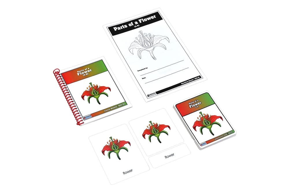 Parts of a Flower Nomenclature Cards 3-6