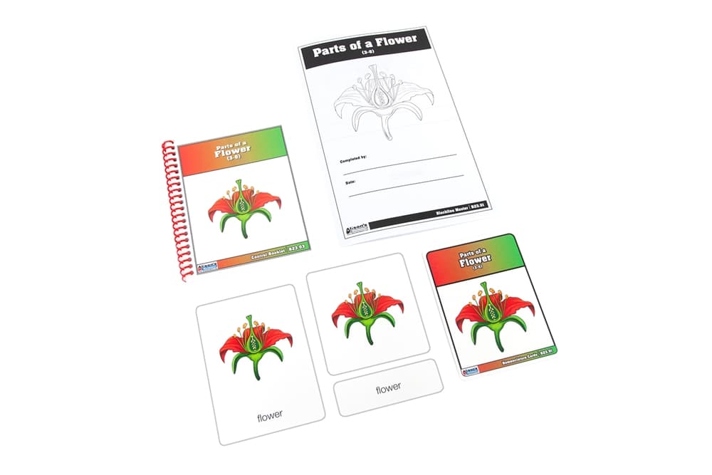 Parts of a Flower Nomenclature Cards 3-6