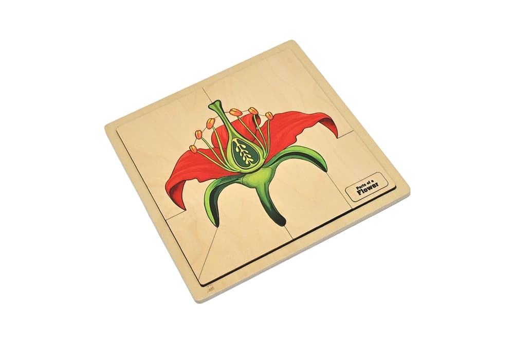 Parts of a Flower Puzzle (Premium Quality)