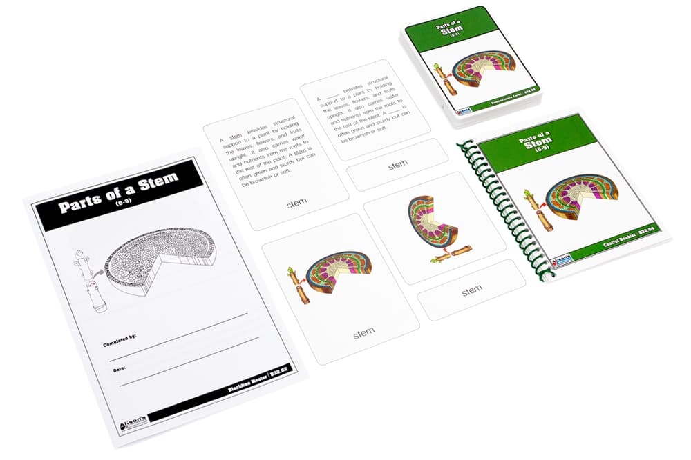 Parts of a Stem Nomenclature Cards