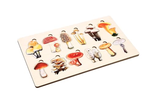 Types of Mushrooms Puzzle and Cards (3-6)