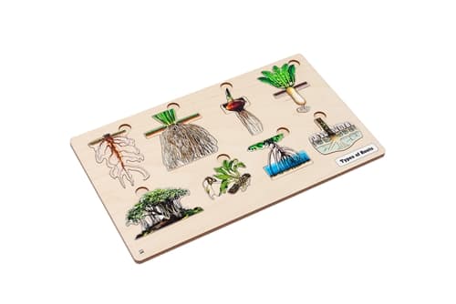 Types of Roots Puzzle