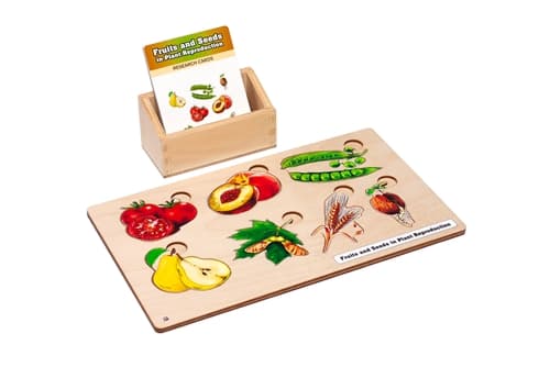 Fruits & Seeds in Plants Reproduction Set