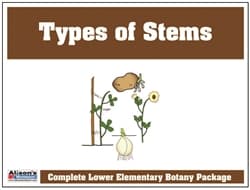 Types of Stems Control Booklet
