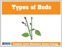 Types of Buds Control Booklet