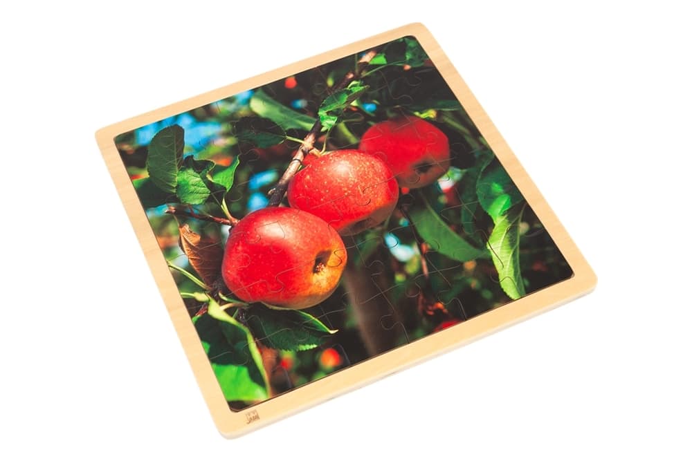 Apple- Jigsaw Puzzle (36 Pieces)