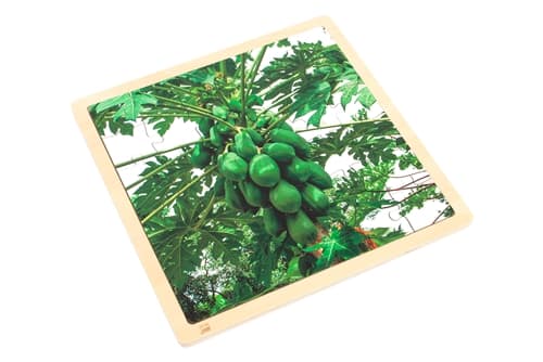 Papaya - Jigsaw Puzzle (12 Pieces)