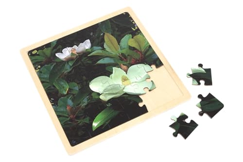 Magnolia - Jigsaw Puzzle (12 Pieces)