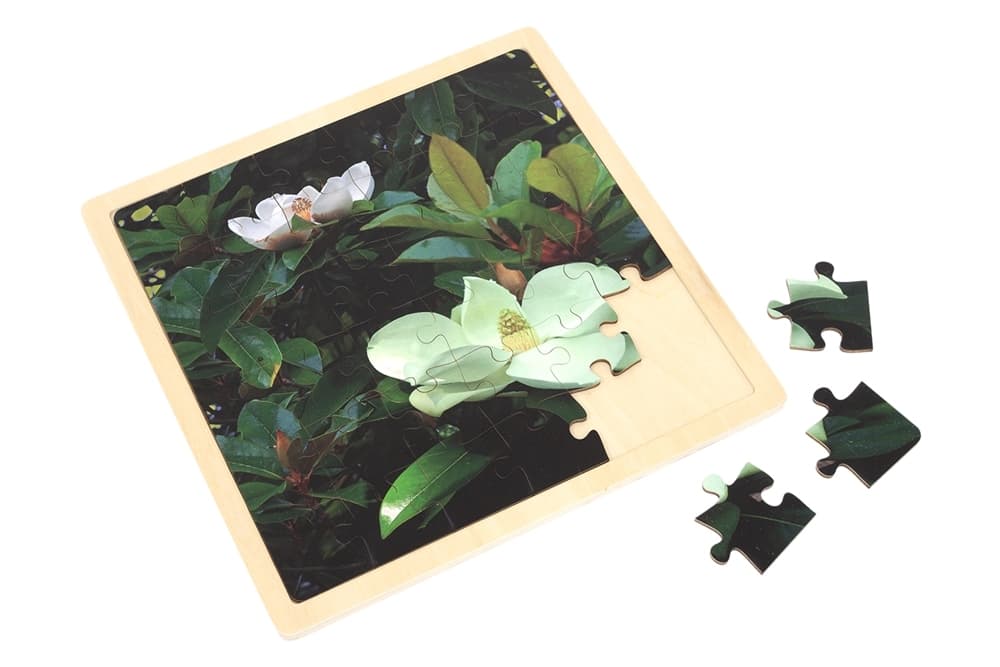 Magnolia - Jigsaw Puzzle (36 Pieces)
