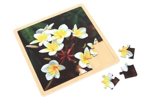 Plumeria - Jigsaw Puzzle (12 Pieces)