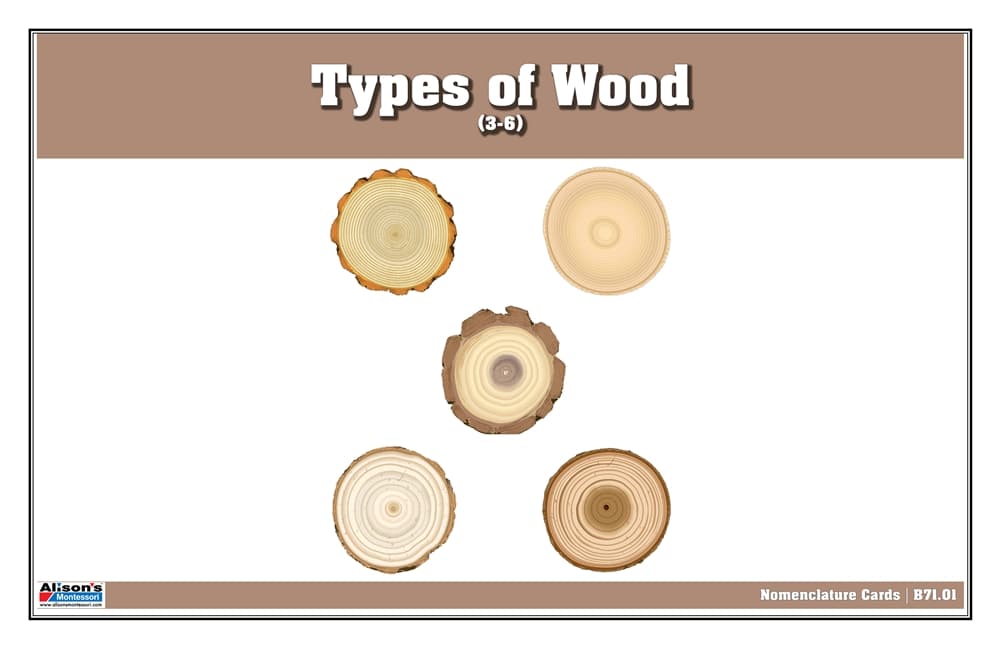 Types of Wood Nomenclature Cards 3-6