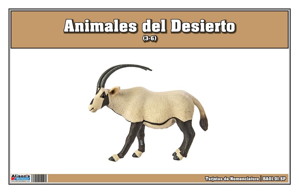 Tarjetas Nomenclatura Animales del Desierto