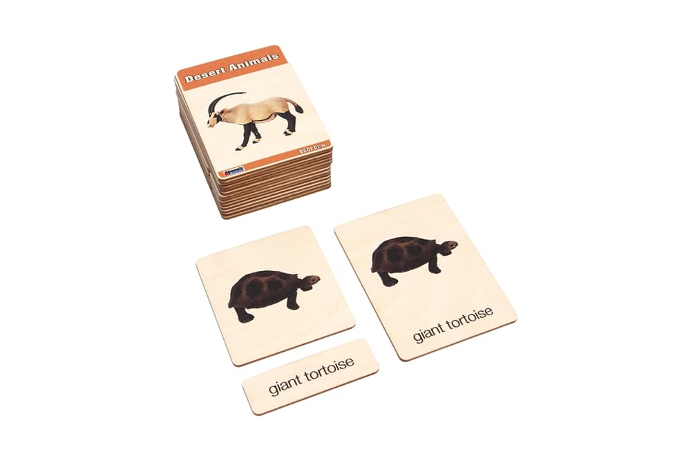Desert Animals – Nomenclature Cards (3–6)