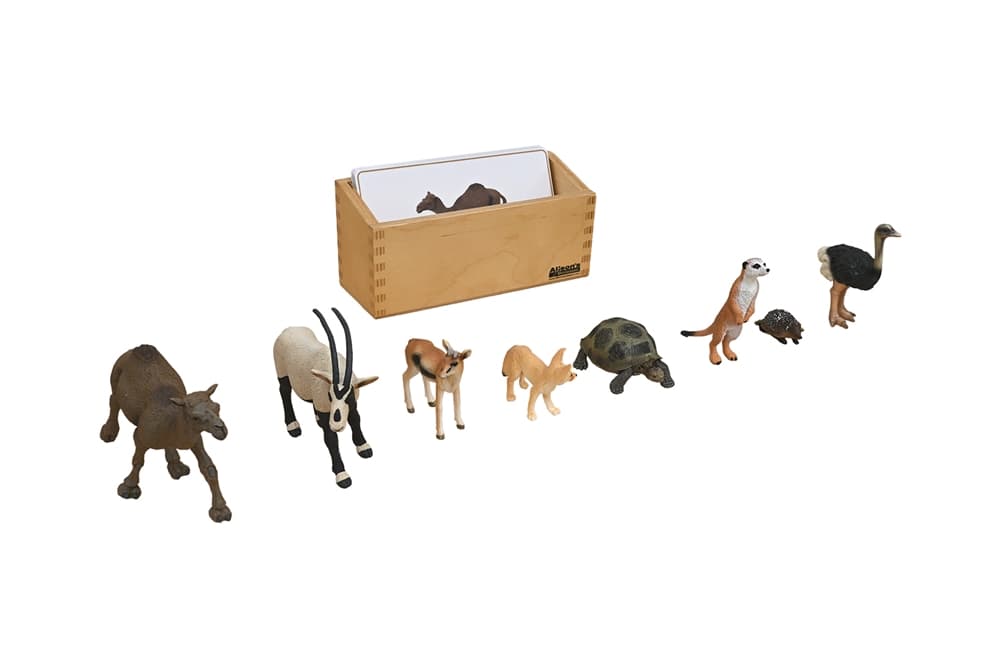 Desert Animals to Cards Matching