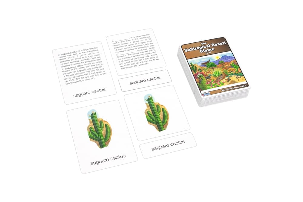 Subtropical Desert Nomenclature Cards 6–9