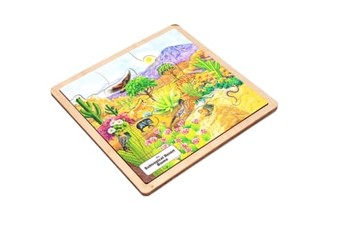 Subtropical Desert Biome - Complete Set