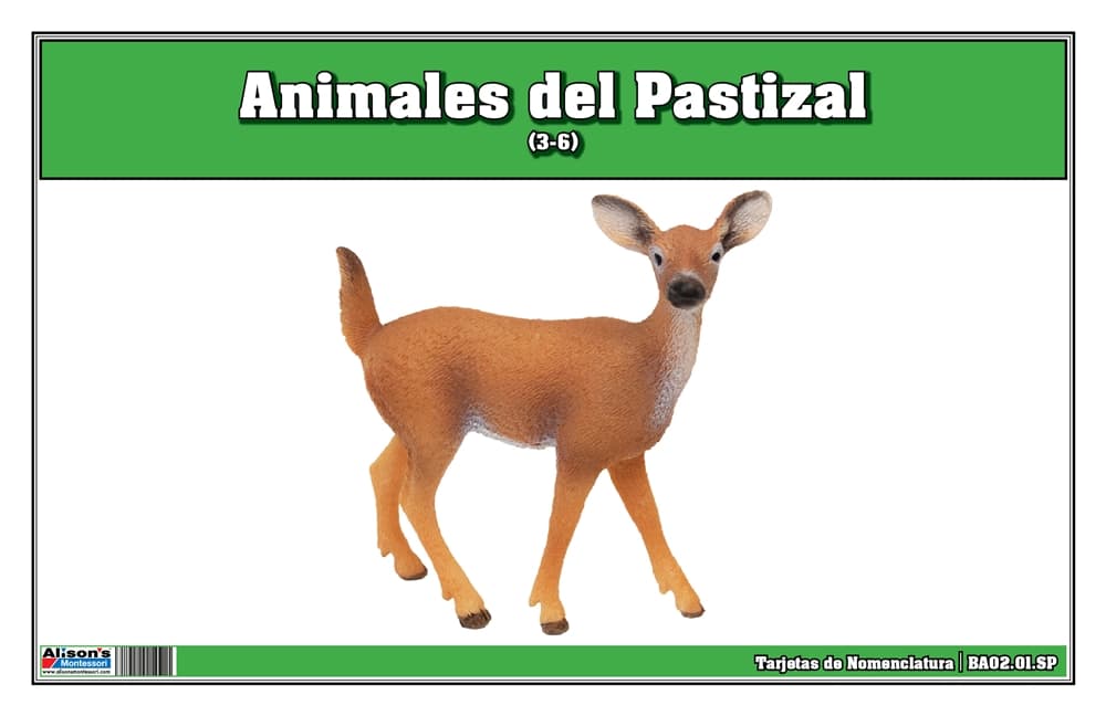 Tarjetas Nomenclatura Animales de Pradera