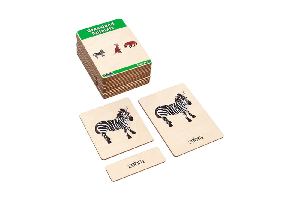 Grassland Animals – Nomenclature Cards (3–6)