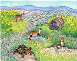 Biome Charts - Temperate Grassland Biome