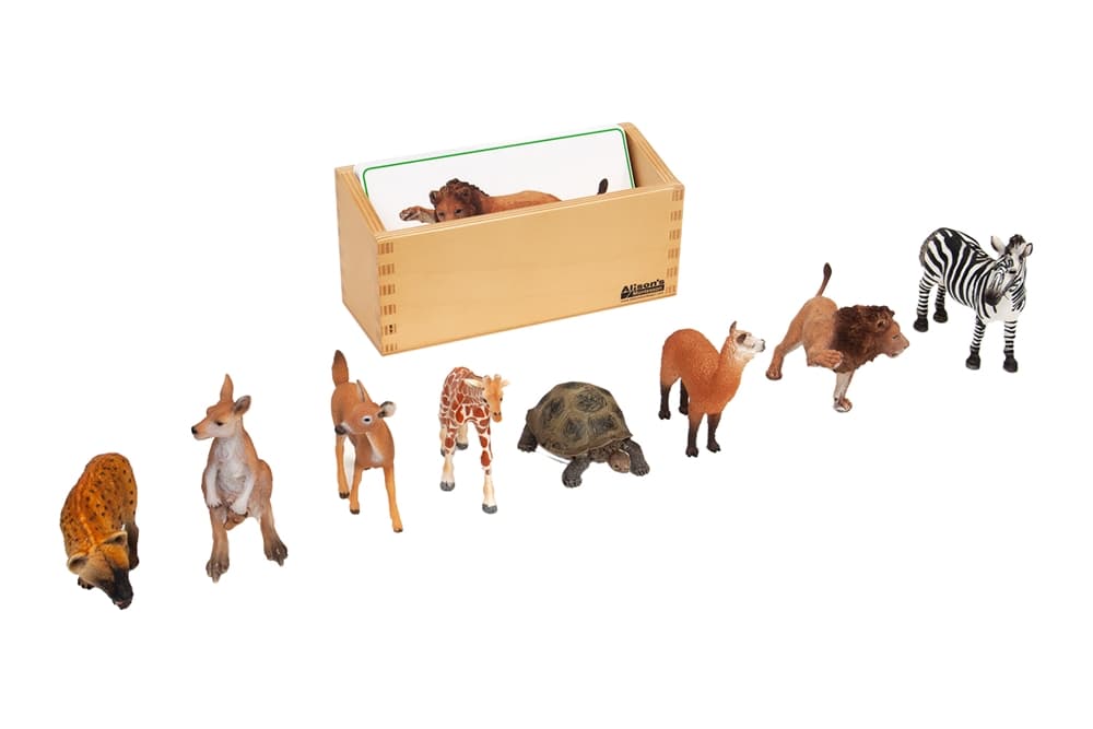 Grassland Animals to Cards Matching