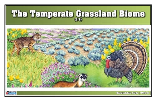 Temperate Grassland Nomenclature Cards 3–6