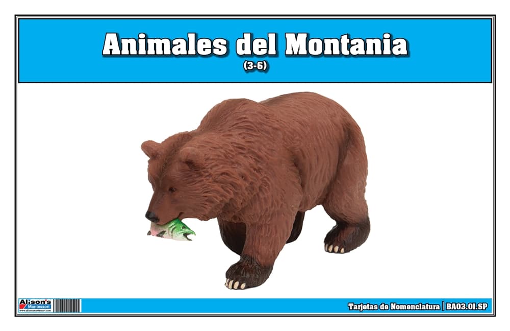 Tarjetas Nomenclatura Animales de Montaña