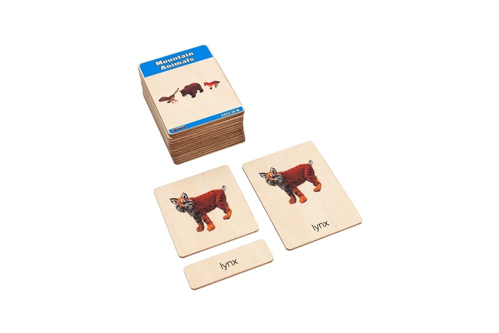 Mountain Animals – Nomenclature Cards (3–6)