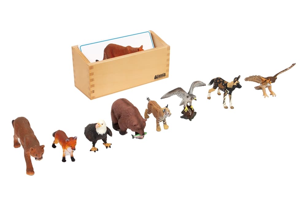 Mountain Animals to Cards Matching