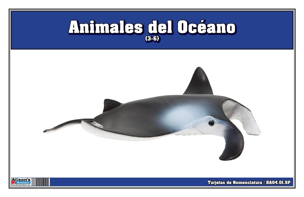 Tarjetas Nomenclatura Animales del Océano