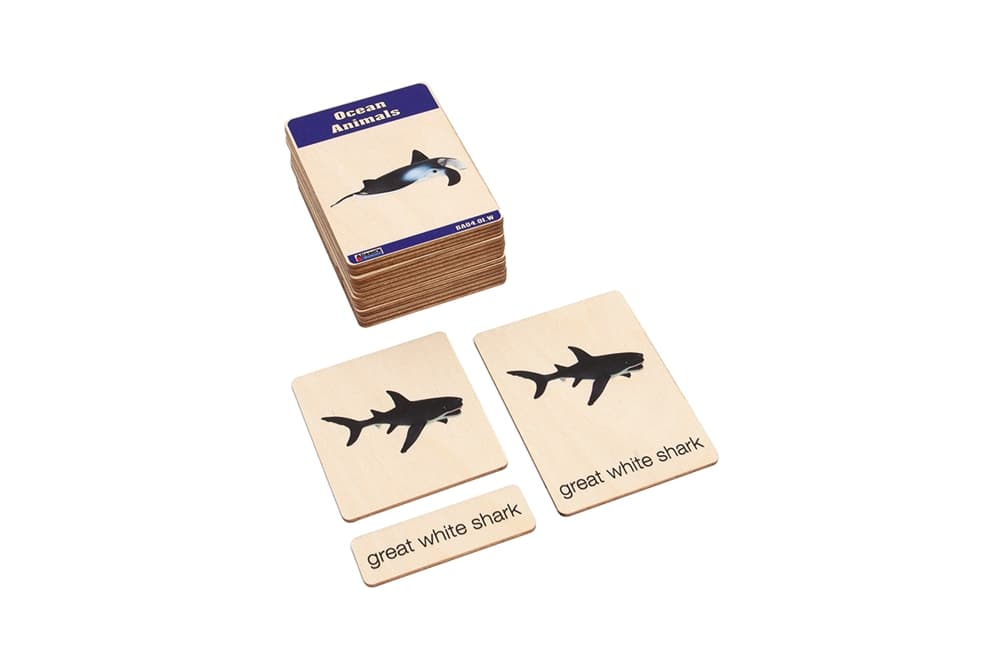 Ocean Animals – Nomenclature Cards (3–6)
