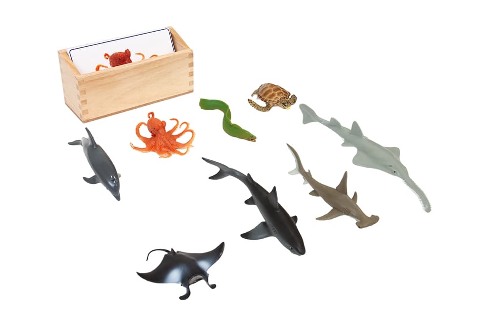 Ocean Animals to Cards Matching